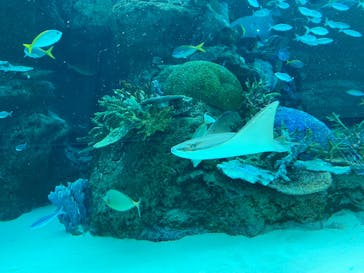 名古屋港水族館に投稿された画像（2022/8/16）