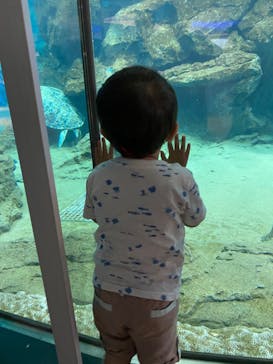 名古屋港水族館に投稿された画像（2022/8/16）