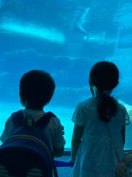 名古屋港水族館に投稿された画像（2022/8/16）