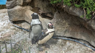 サンシャイン水族館に投稿された画像（2022/8/16）