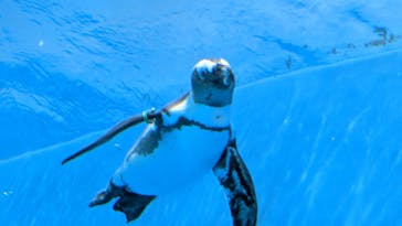 サンシャイン水族館に投稿された画像（2022/8/16）