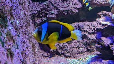 サンシャイン水族館に投稿された画像（2022/8/16）