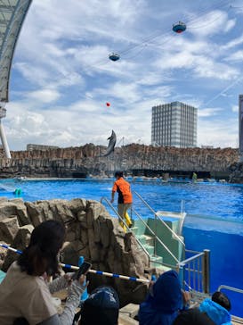 名古屋港水族館に投稿された画像（2022/8/16）