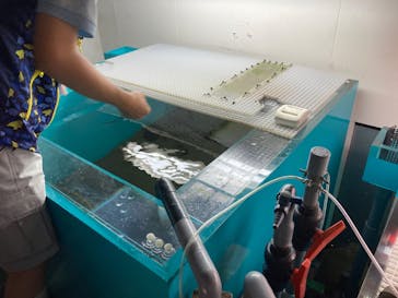 大分マリーンパレス水族館 「うみたまご」に投稿された画像（2022/8/16）