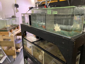 大分マリーンパレス水族館 「うみたまご」に投稿された画像（2022/8/16）