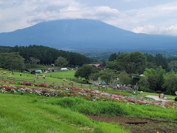 まかいの牧場に投稿された画像（2022/8/16）