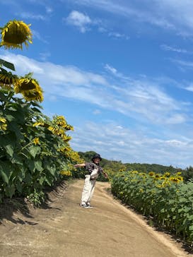 淡路ファームパーク イングランドの丘に投稿された画像（2022/8/16）