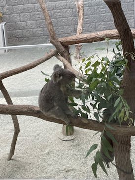 淡路ファームパーク イングランドの丘に投稿された画像（2022/8/16）