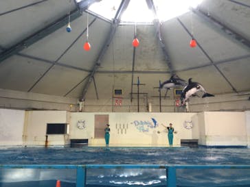 登別マリンパークニクスに投稿された画像（2022/8/16）