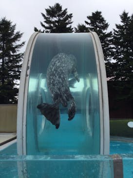 登別マリンパークニクスに投稿された画像（2022/8/16）