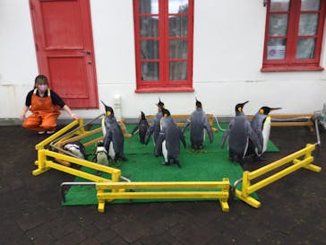 登別マリンパークニクスに投稿された画像（2022/8/16）