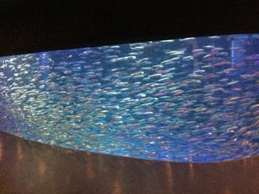 登別マリンパークニクスに投稿された画像（2022/8/16）