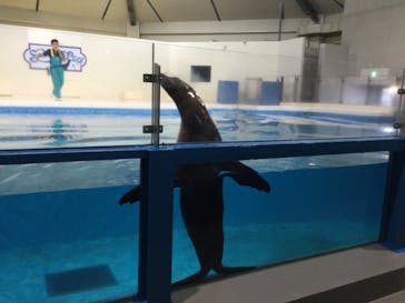 登別マリンパークニクスに投稿された画像（2022/8/16）