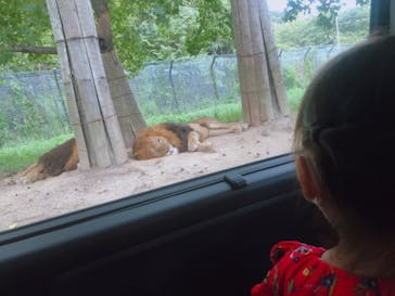 姫路セントラルパークに投稿された画像（2022/8/16）