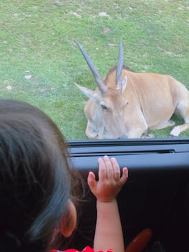 姫路セントラルパークに投稿された画像（2022/8/16）