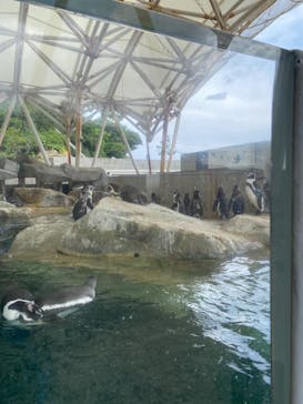 城崎マリンワールドに投稿された画像（2022/8/16）