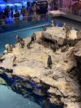 すみだ水族館に投稿された画像（2022/8/16）