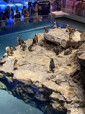 すみだ水族館に投稿された画像（2022/8/16）
