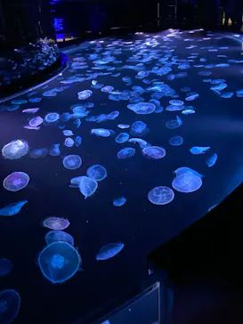 すみだ水族館に投稿された画像（2022/8/16）