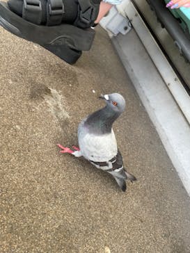 名古屋港水族館に投稿された画像（2022/8/16）