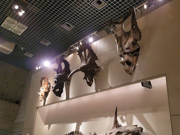 国立科学博物館に投稿された画像（2022/8/16）