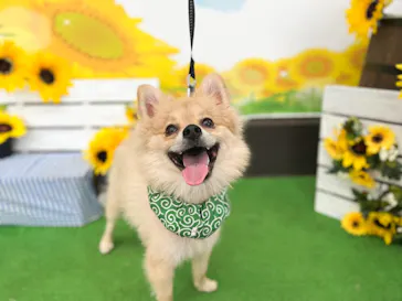 わんダフルネイチャーヴィレッジに投稿された画像（2022/8/16）