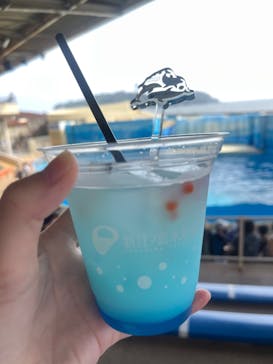 新江ノ島水族館に投稿された画像（2022/8/16）