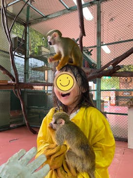 那須ワールドモンキーパークに投稿された画像（2022/8/16）