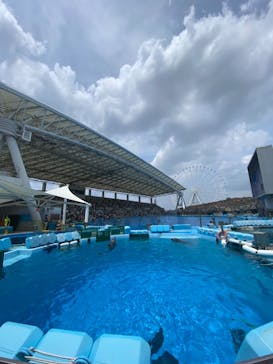 名古屋港水族館に投稿された画像（2022/8/16）