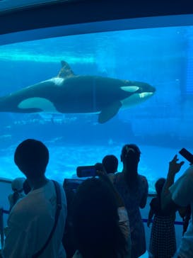 名古屋港水族館に投稿された画像（2022/8/16）