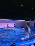 仙台うみの杜水族館に投稿された画像（2022/8/16）