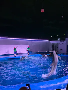 仙台うみの杜水族館に投稿された画像（2022/8/16）