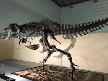 ジュラシック大恐竜展2022 in ときメッセに投稿された画像（2022/8/16）