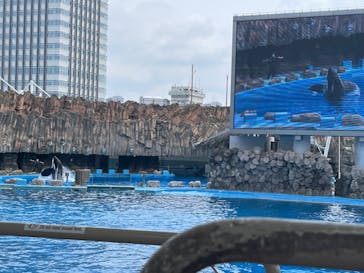 名古屋港水族館に投稿された画像（2022/8/16）