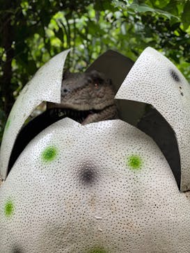 伊豆アニマルキングダムに投稿された画像（2022/8/16）