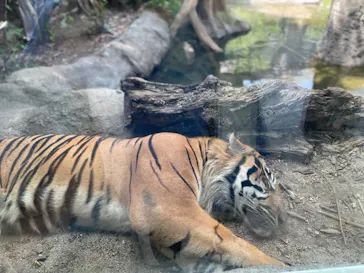 神戸どうぶつ王国に投稿された画像（2022/8/16）