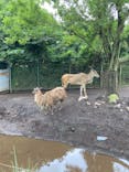 伊豆アニマルキングダムに投稿された画像（2022/8/17）