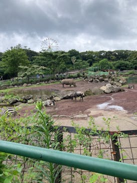 伊豆アニマルキングダムに投稿された画像（2022/8/16）