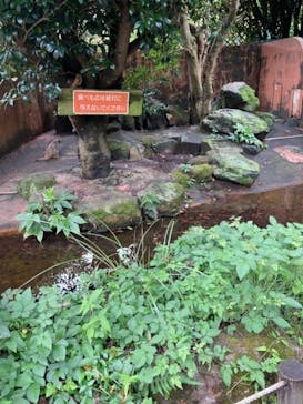 伊豆アニマルキングダムに投稿された画像（2022/8/16）