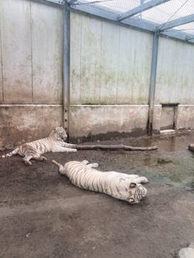 伊豆アニマルキングダムに投稿された画像（2022/8/16）