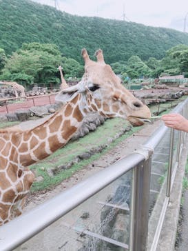 伊豆アニマルキングダムに投稿された画像（2022/8/16）