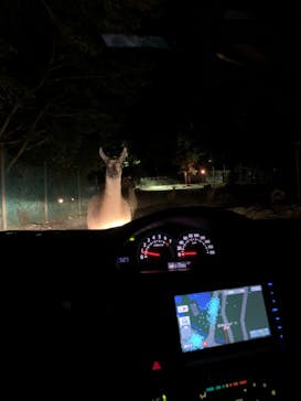 那須サファリパークに投稿された画像（2022/8/16）