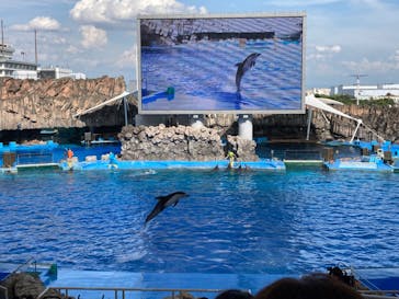 名古屋港水族館に投稿された画像（2022/8/16）
