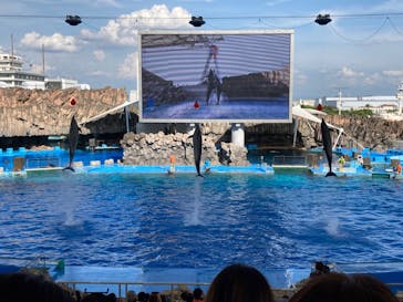 名古屋港水族館に投稿された画像（2022/8/16）