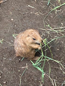 伊豆シャボテン動物公園に投稿された画像（2022/8/16）