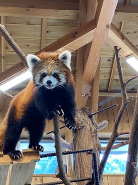 伊豆シャボテン動物公園に投稿された画像（2022/8/16）