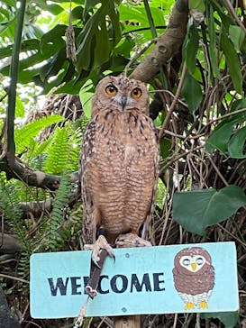 伊豆シャボテン動物公園に投稿された画像（2022/8/16）