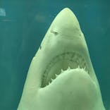 株式会社Gに投稿された画像（2022/8/17）