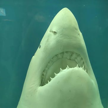 株式会社Gに投稿された画像（2022/8/16）