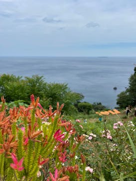 ACAO FORESTに投稿された画像（2022/8/16）